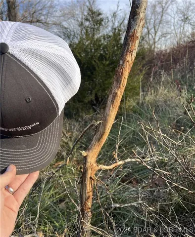 $799,900 | 151 State Ff Road, Edwards, MO 65326