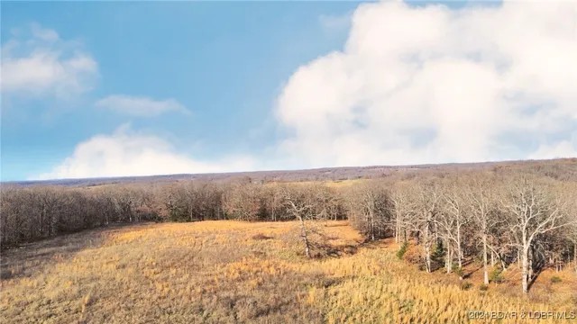 $799,900 | 151 State Ff Road, Edwards, MO 65326