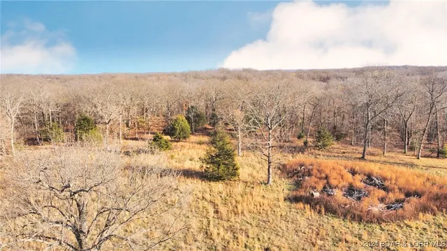 $799,900 | 151 State Ff Road, Edwards, MO 65326