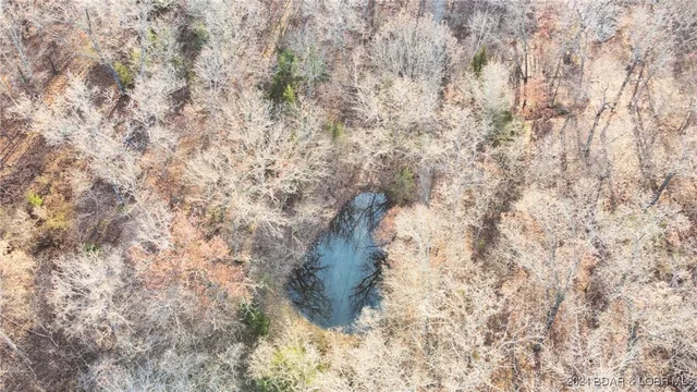 $799,900 | 151 State Ff Road, Edwards, MO 65326