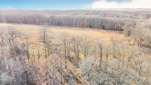 $799,900 | 151 State Ff Road, Edwards, MO 65326