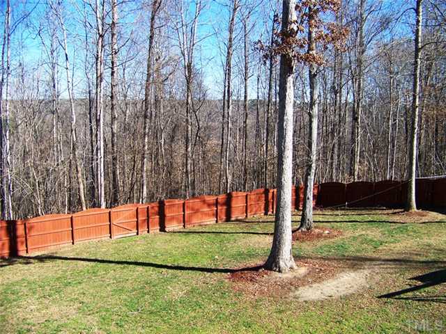 6217 Silver Spring Court Willow Spring, NC 27592 - Photo 9 of 10 WOW! Amazing view of backyard! Backs up to Ravine and Creek! 1 Acre of Total Tranquility!