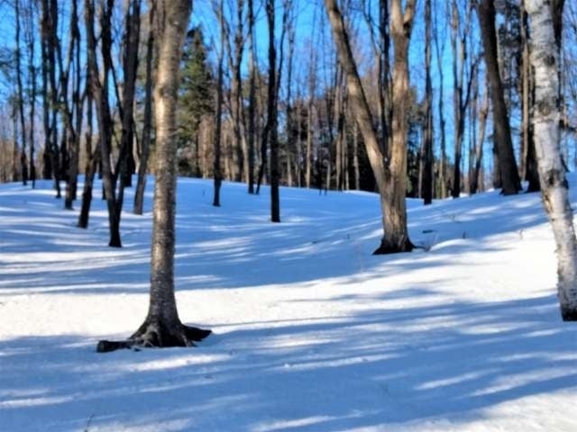 19103 Fish Hawk Lk Road Watersmeet, MI 49969 - Photo 18 of 22 Gallery Image 18