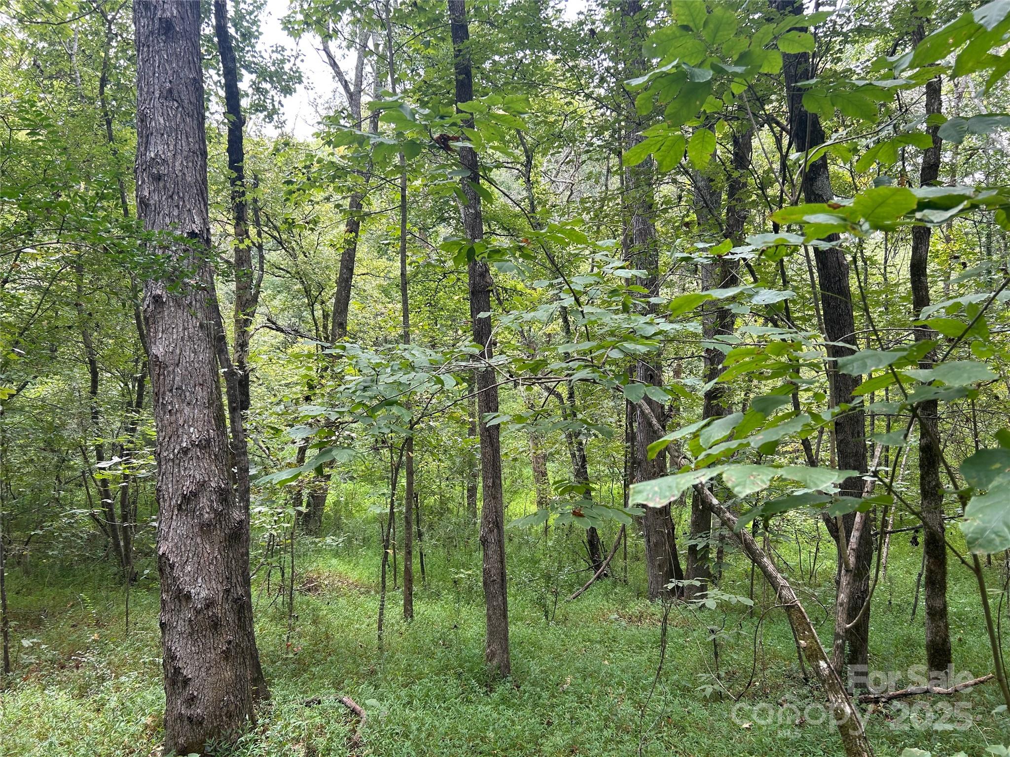3485 Cedar Circle Road Lancaster, SC 29720 - Photo 11 of 35 a view of a garden