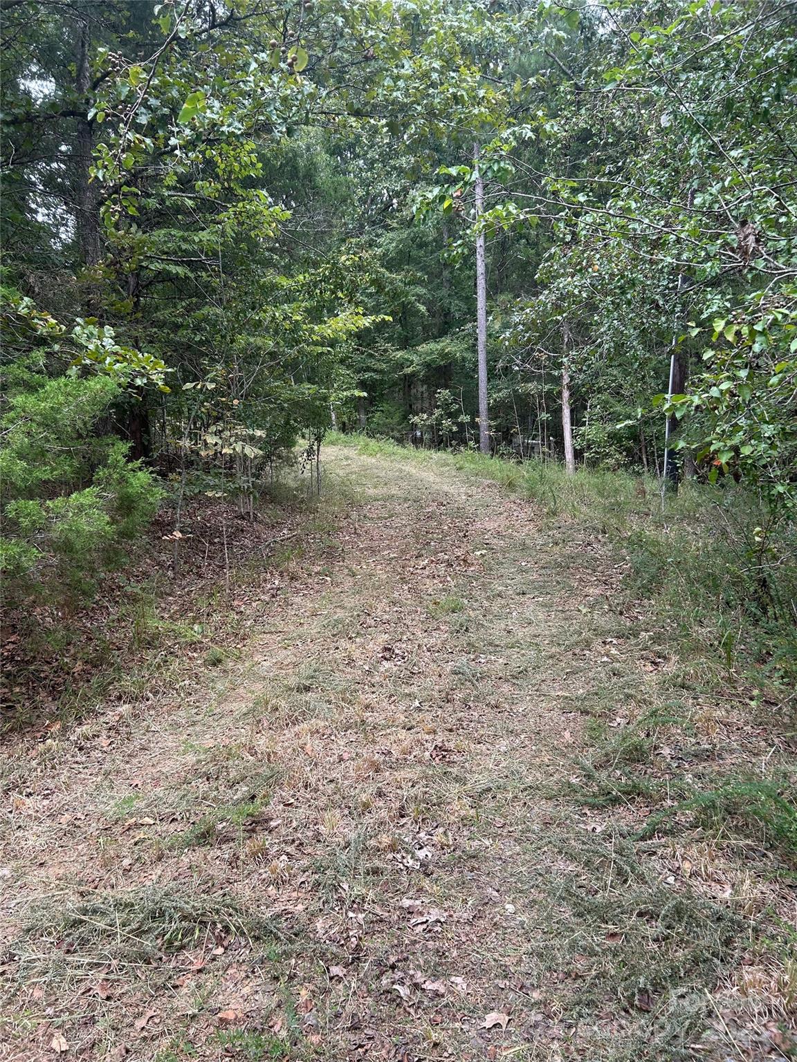 3485 Cedar Circle Road Lancaster, SC 29720 - Photo 24 of 35 a view of a forest with trees in the background