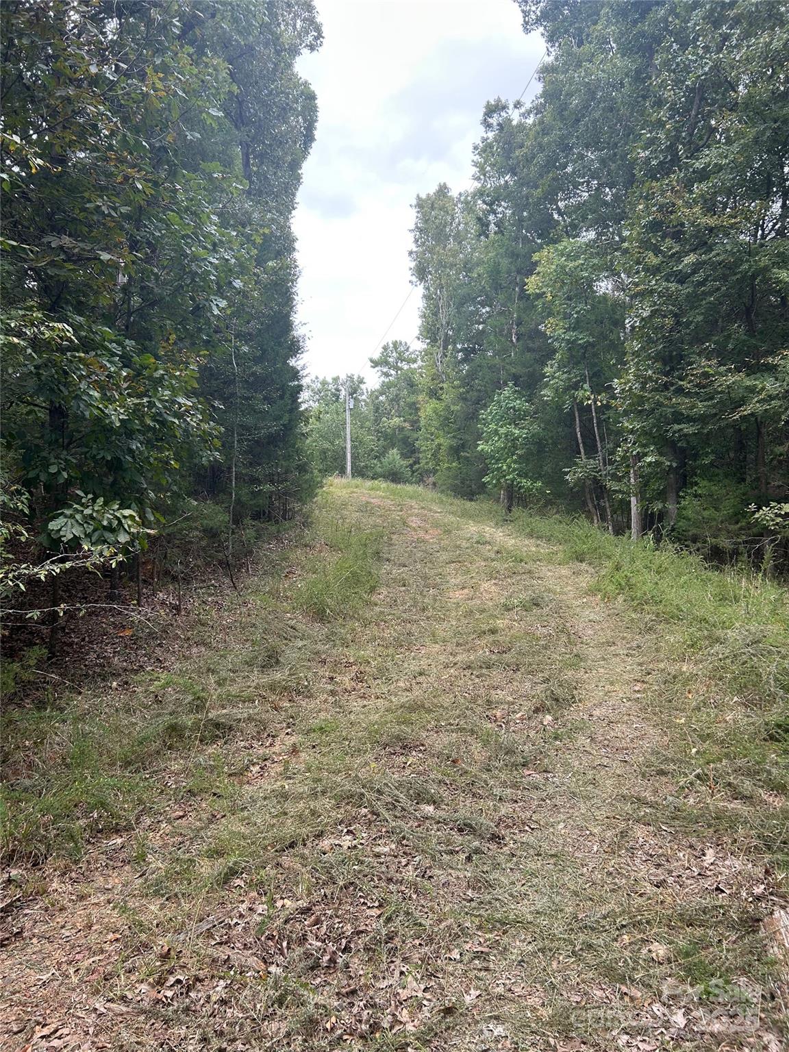 3485 Cedar Circle Road Lancaster, SC 29720 - Photo 25 of 35 a view of a dry yard with trees