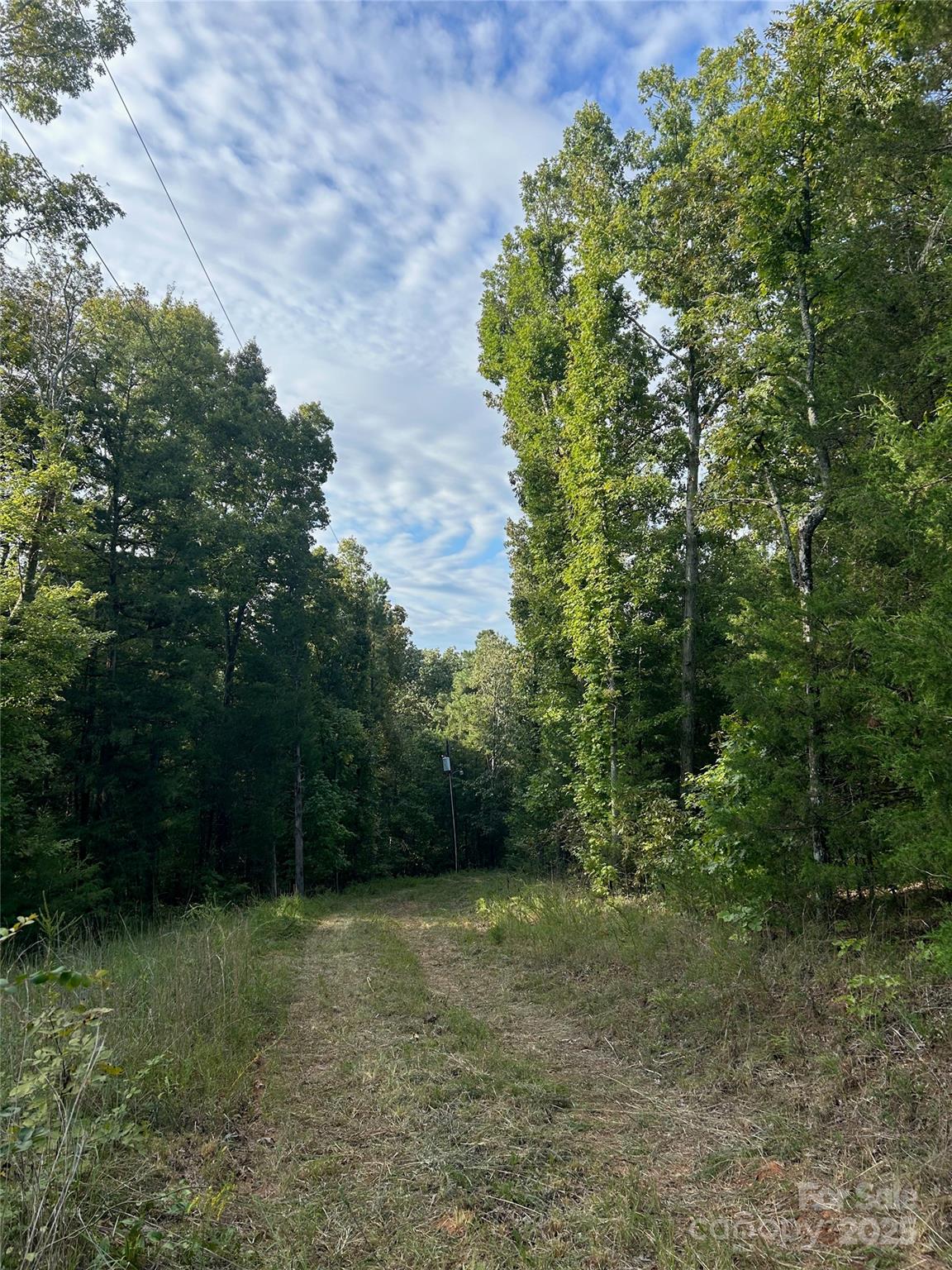 3485 Cedar Circle Road Lancaster, SC 29720 - Photo 3 of 35 a view of outdoor space and yard