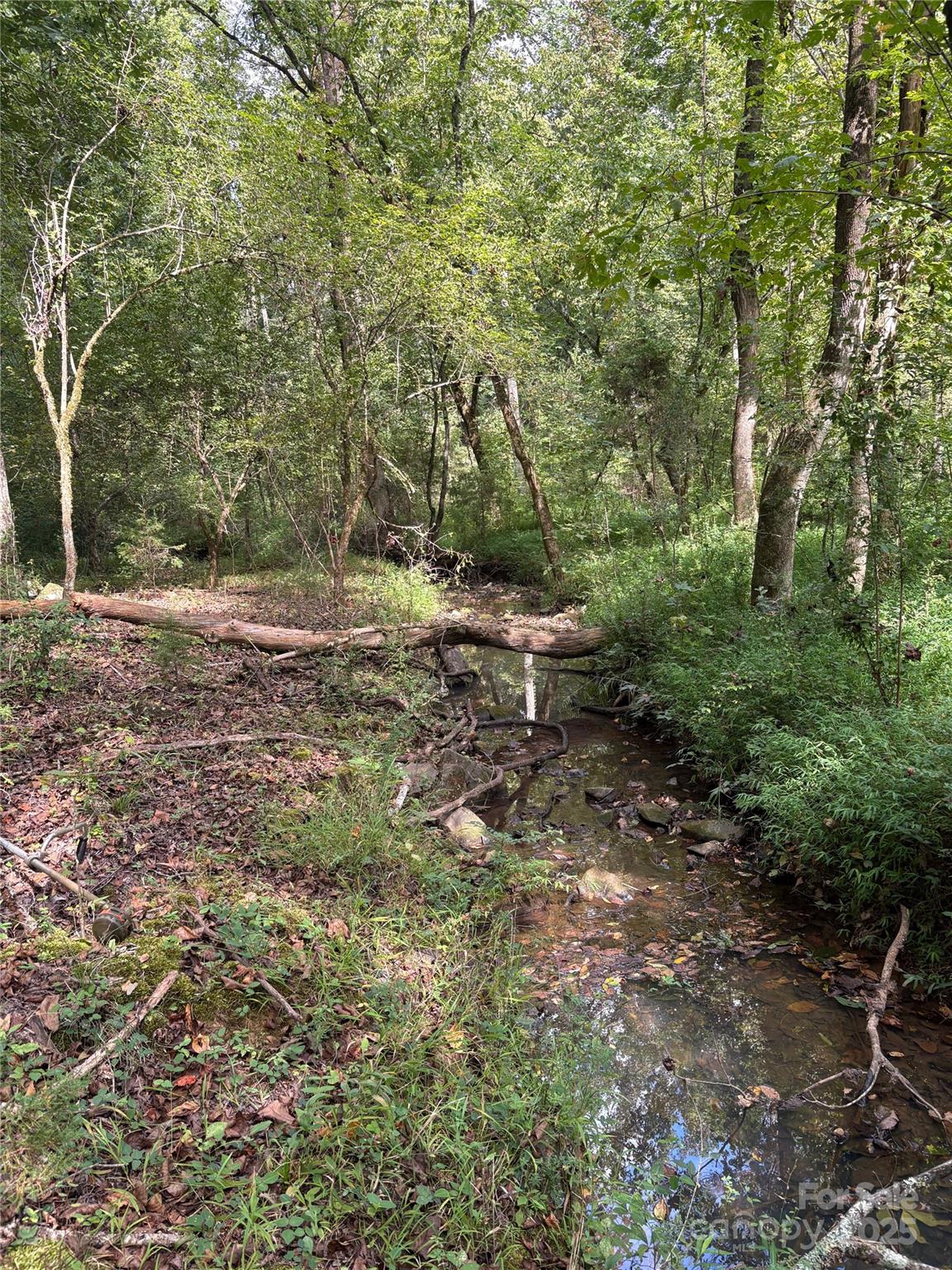 3485 Cedar Circle Road Lancaster, SC 29720 - Photo 34 of 35 a view of a forest filled with trees