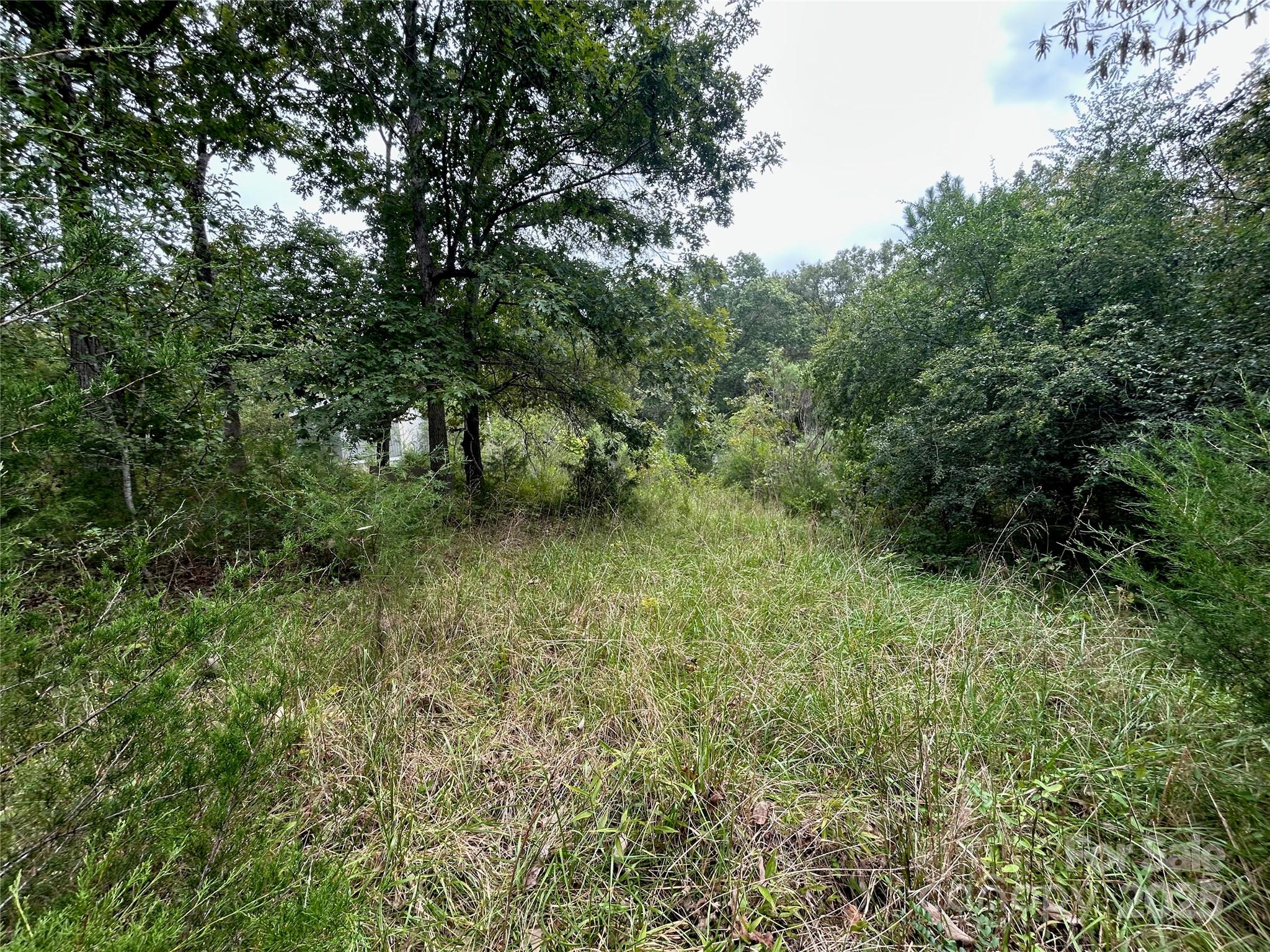 3485 Cedar Circle Road Lancaster, SC 29720 - Photo 6 of 35 a view of a lush green forest