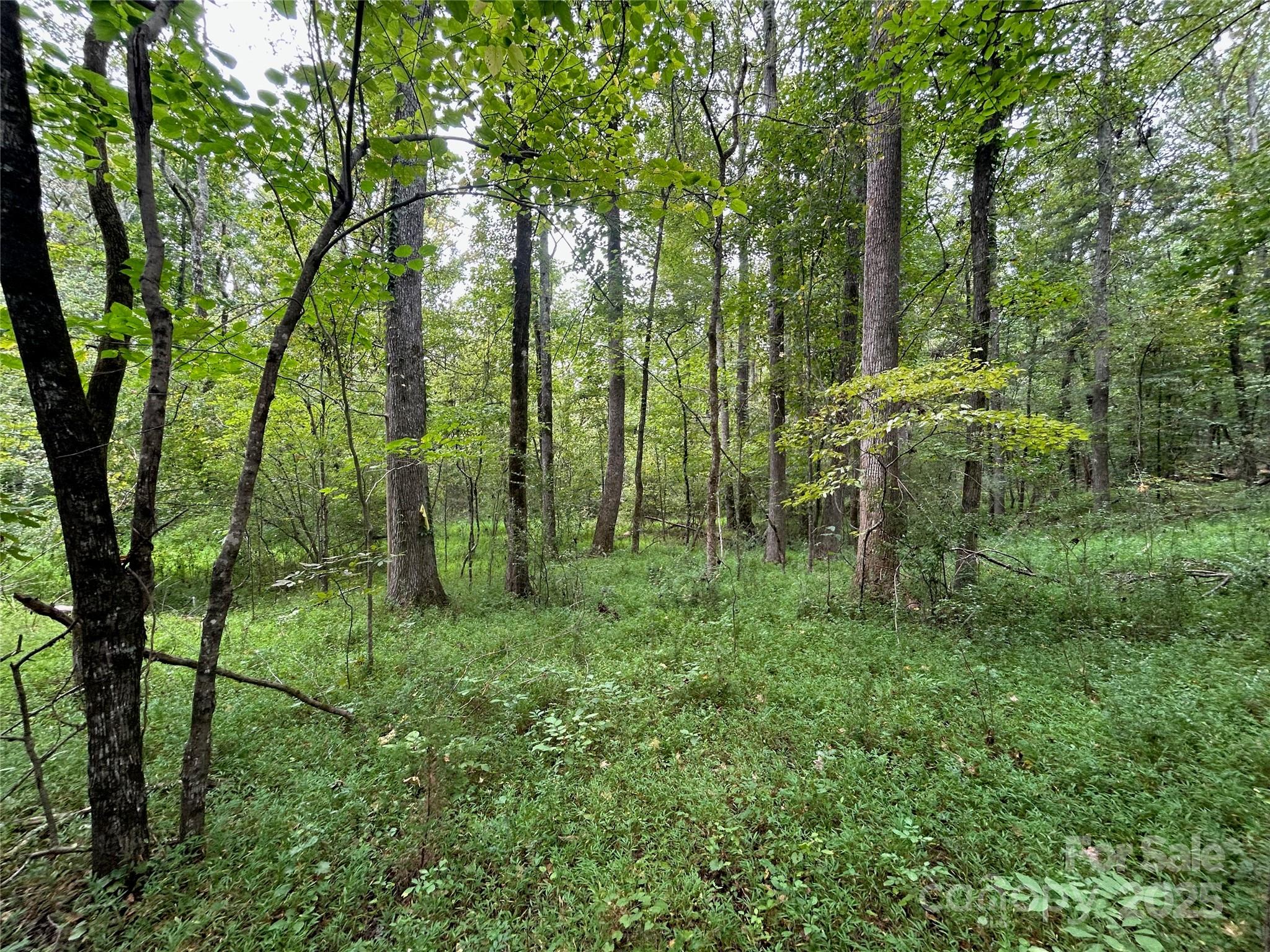3485 Cedar Circle Road Lancaster, SC 29720 - Photo 7 of 35 a green field with lots of trees