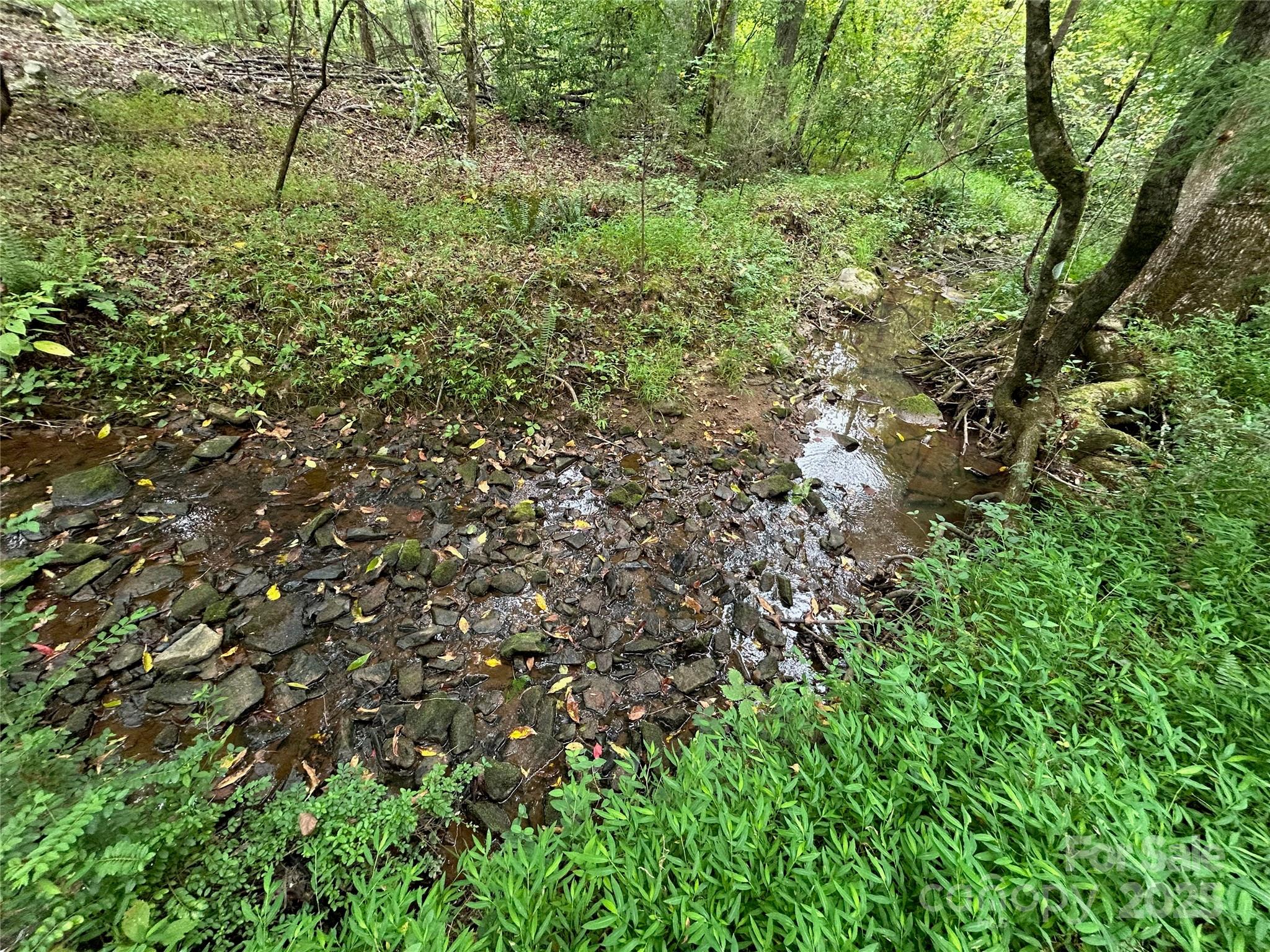 3485 Cedar Circle Road Lancaster, SC 29720 - Photo 9 of 35 a view of a lush green forest