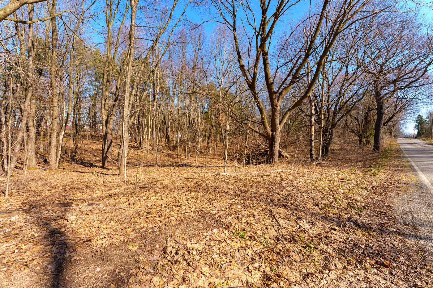 Three Corey Lake Road Three Rivers, MI 49093 - Photo 20 of 25 Corey_Lake_VL_Three_Rivers_49093-23