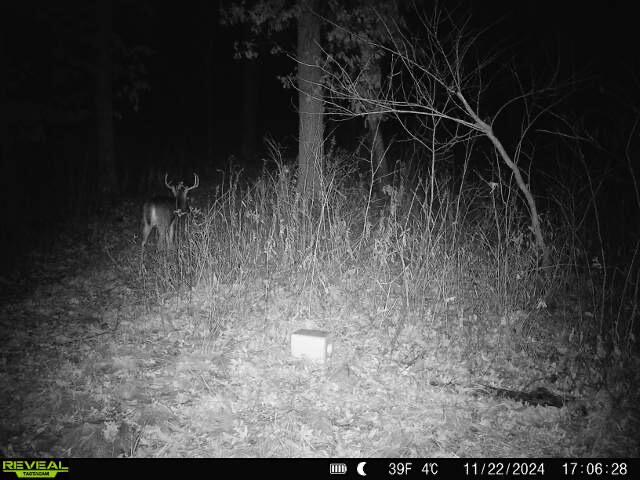 N7003 County Road West Holmen, WI 54636 - Photo 65 of 78 IMG_3371