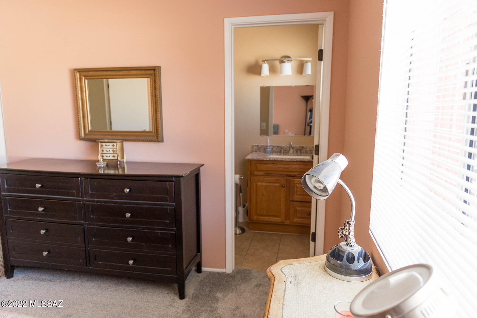 9541 East Sellarole Road Tucson, AZ 85730 - Photo 20 of 30 Gallery Image 20