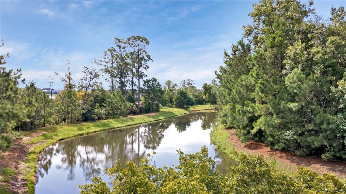 454 Doane Way Wando, SC 29492 - Photo 10 of 42 10-25-DJI_0741