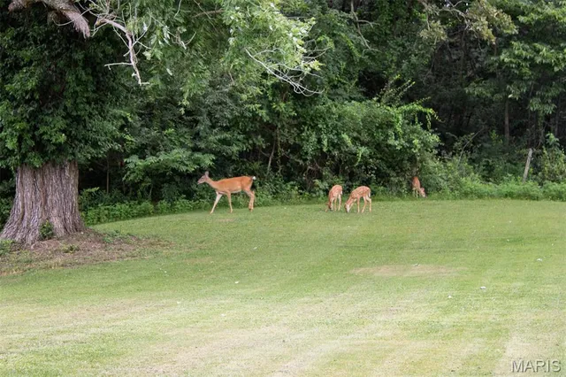 $350,000 | 18347 Windy Hill Road, Staunton, IL 62088