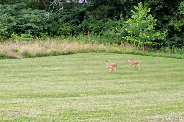 $350,000 | 18347 Windy Hill Road, Staunton, IL 62088