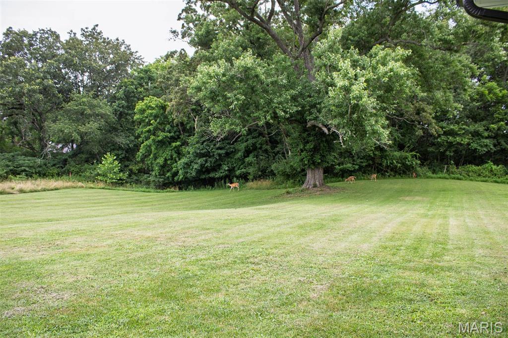 18347 Windy Hill Road Staunton, IL 62088 - Photo 50 of 58