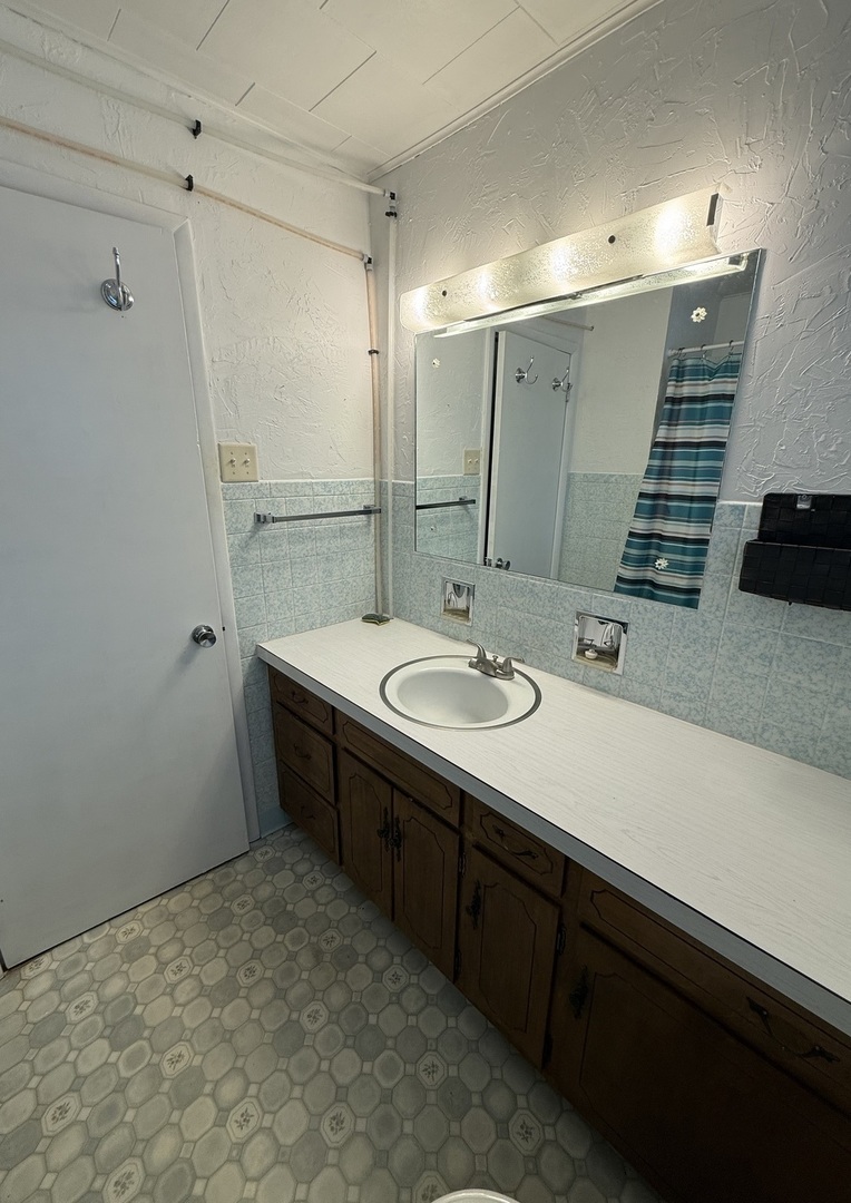 407 Middleton Street Iuka, IL 62849 - Photo 7 of 14 a bathroom with a sink and a mirror
