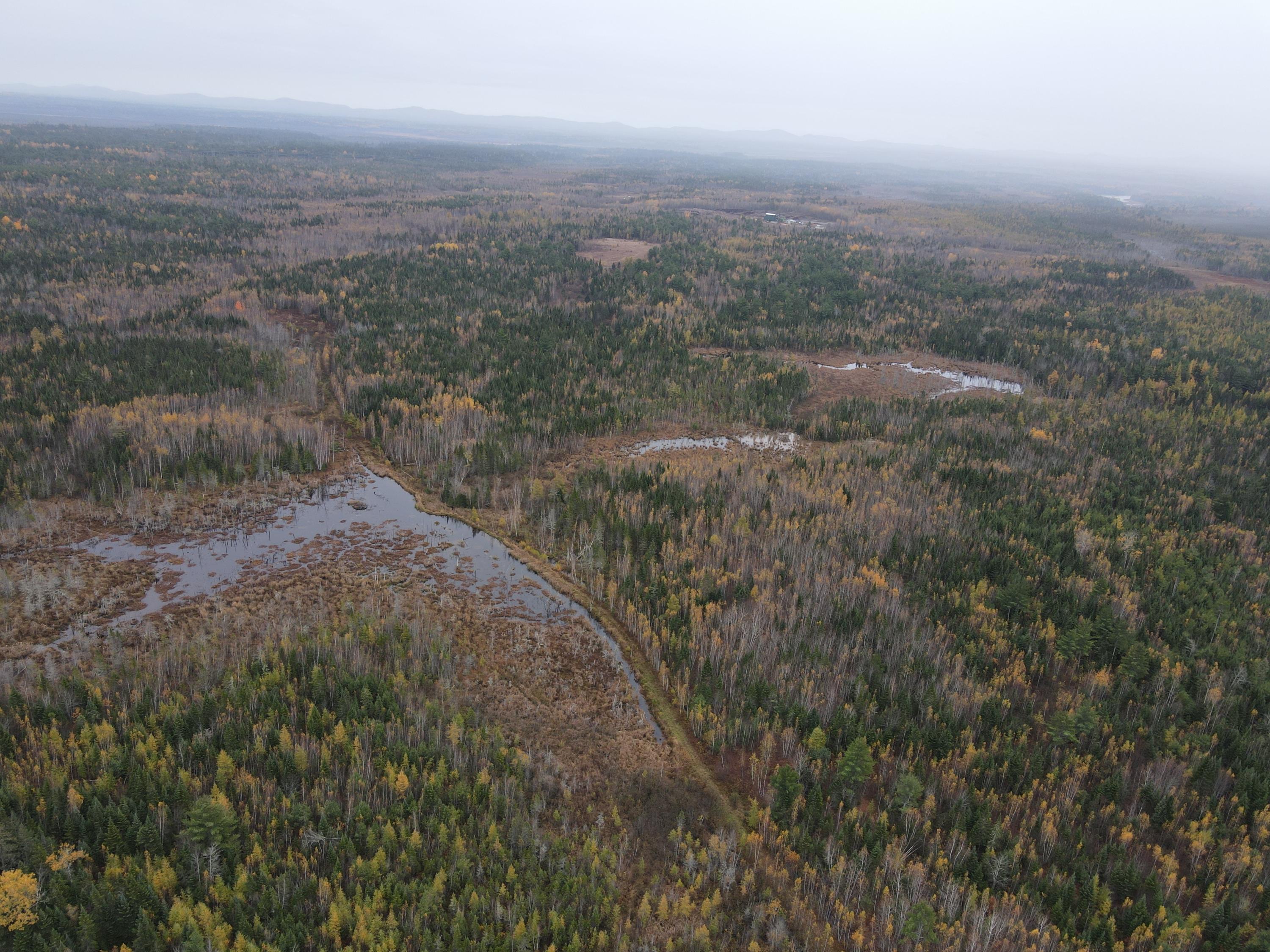 0 Greenfield Road Milford, ME 04461 - Photo 3 of 18 2020-10-20 14.35.06