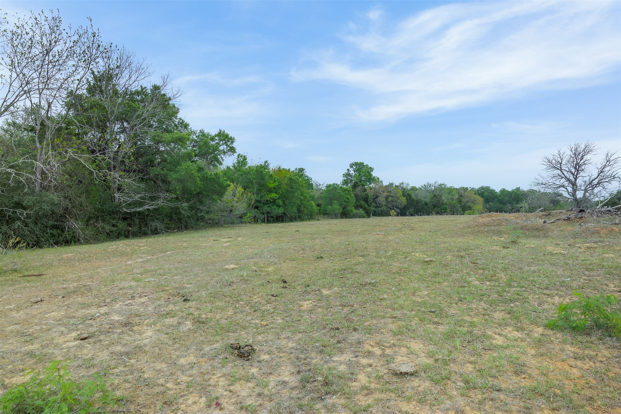 579 Lower Elgin Road Elgin, TX 78621 - Photo 22 of 40 a view of a big yard with a tree