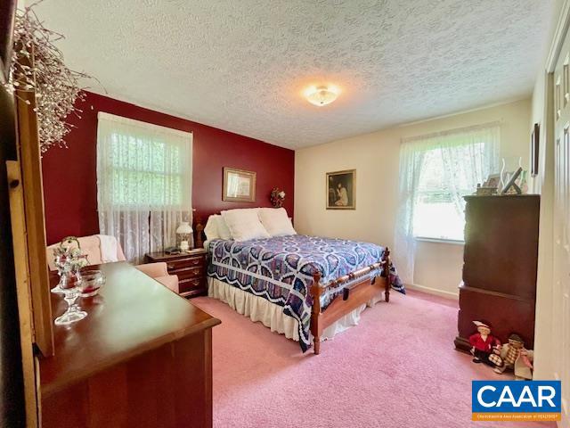 582 Miller School Road Charlottesville, VA 22903 - Photo 22 of 40