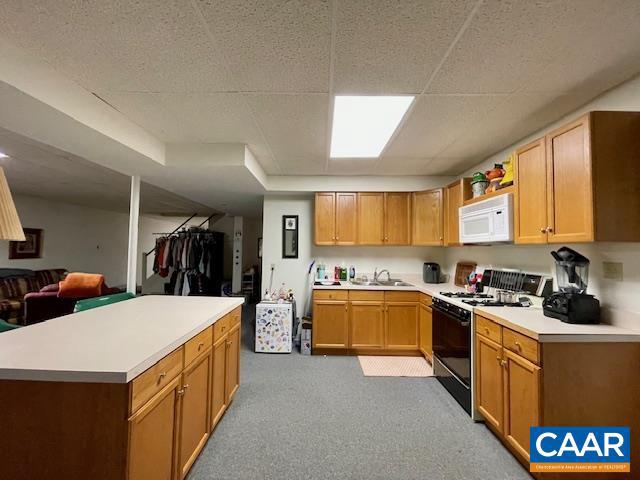 582 Miller School Road Charlottesville, VA 22903 - Photo 30 of 40