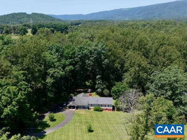 a view of a backyard with a tree