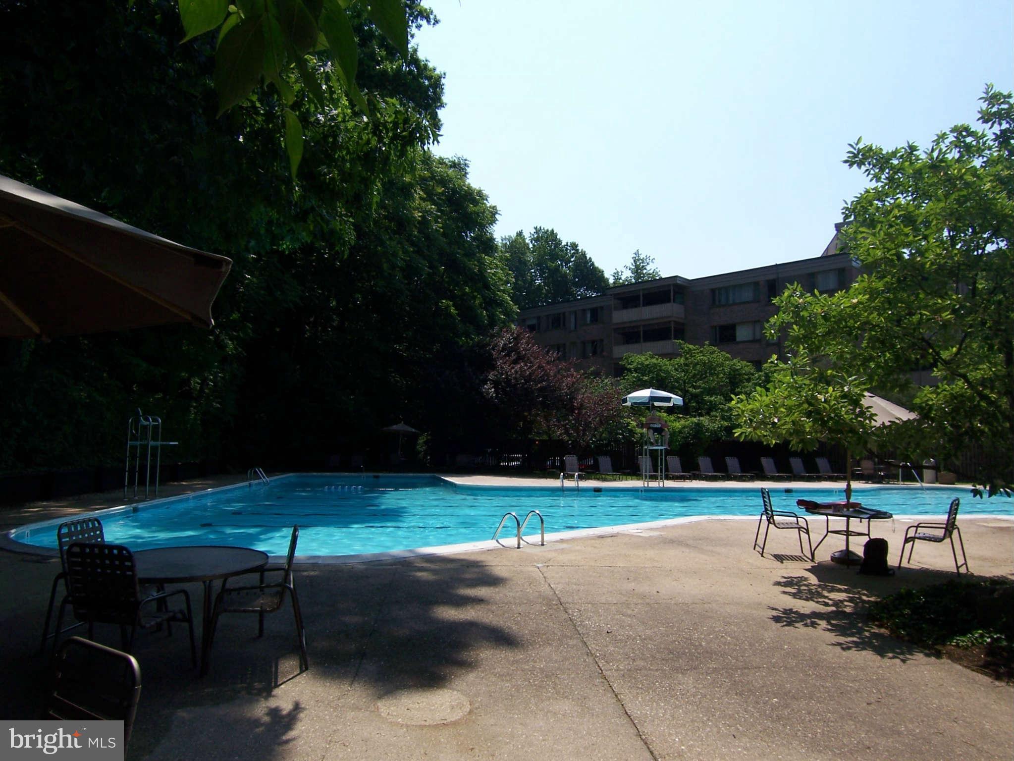 5 Cross Keys Road, Unit 5D Baltimore, MD 21210 - Photo 16 of 16 a view of a backyard
