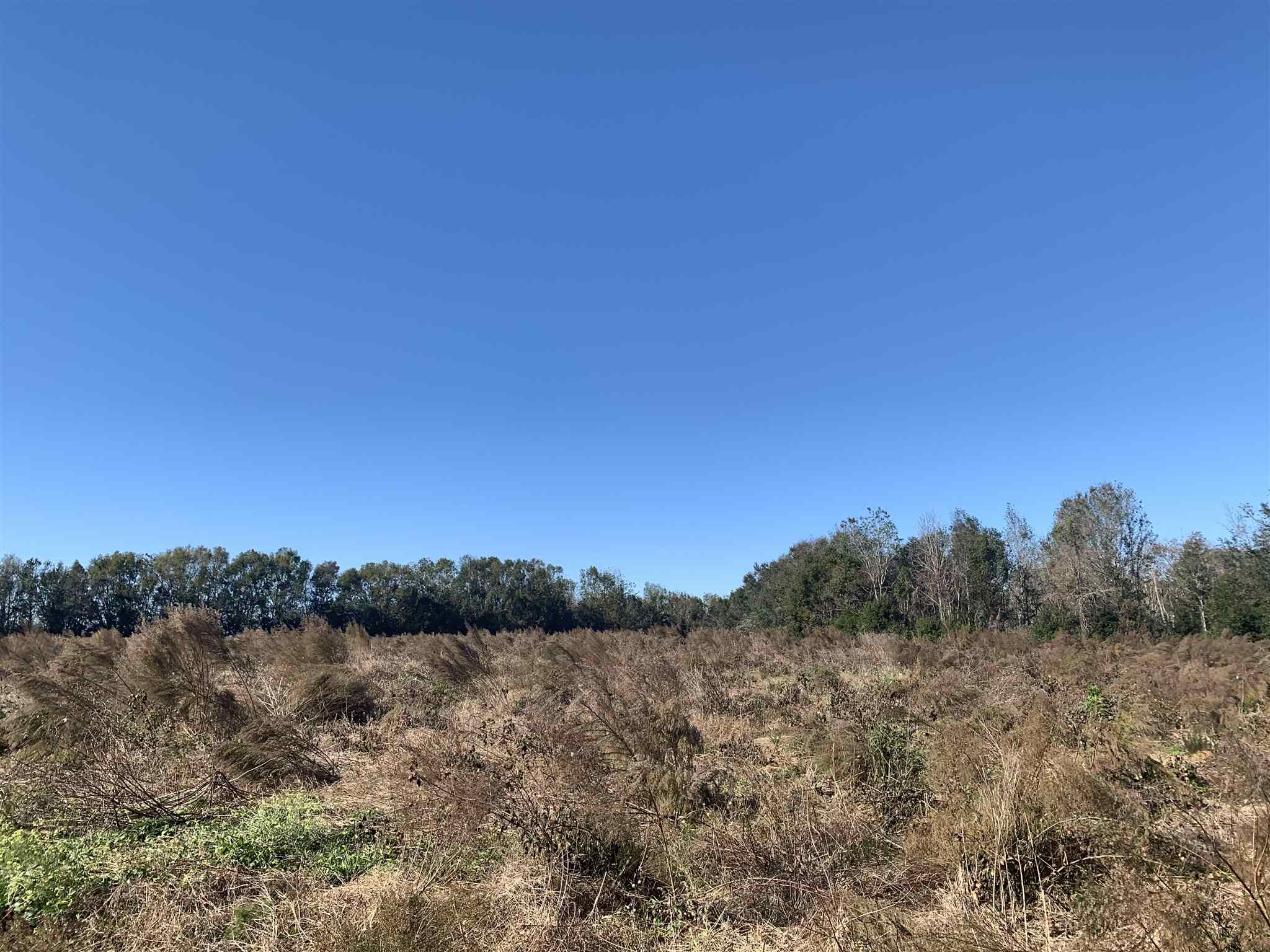 10260 County Road 32 Fairhope, AL 36532 - Photo 20 of 24