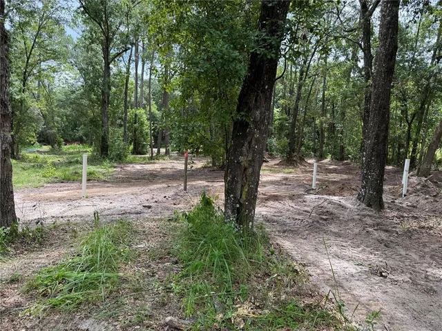 a view of a yard with trees