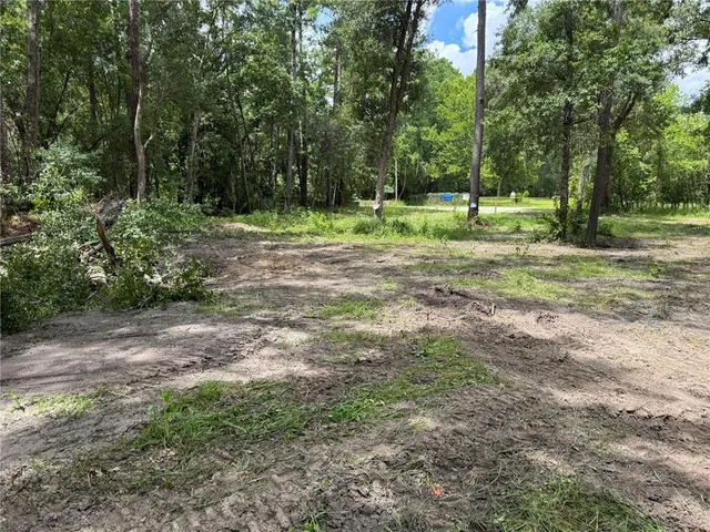 a view of outdoor space with trees