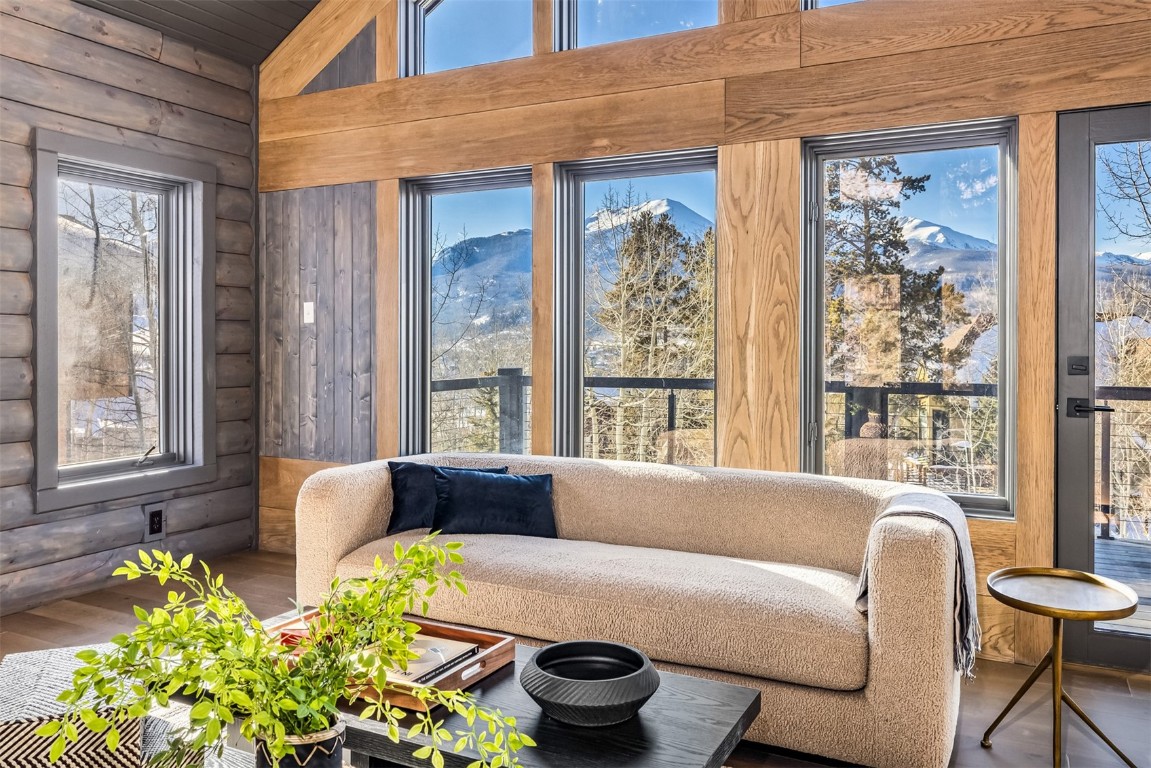 21 Stormwatch Circle Silverthorne, CO 80498 - Photo 6 of 43 a living room with furniture and a potted plant