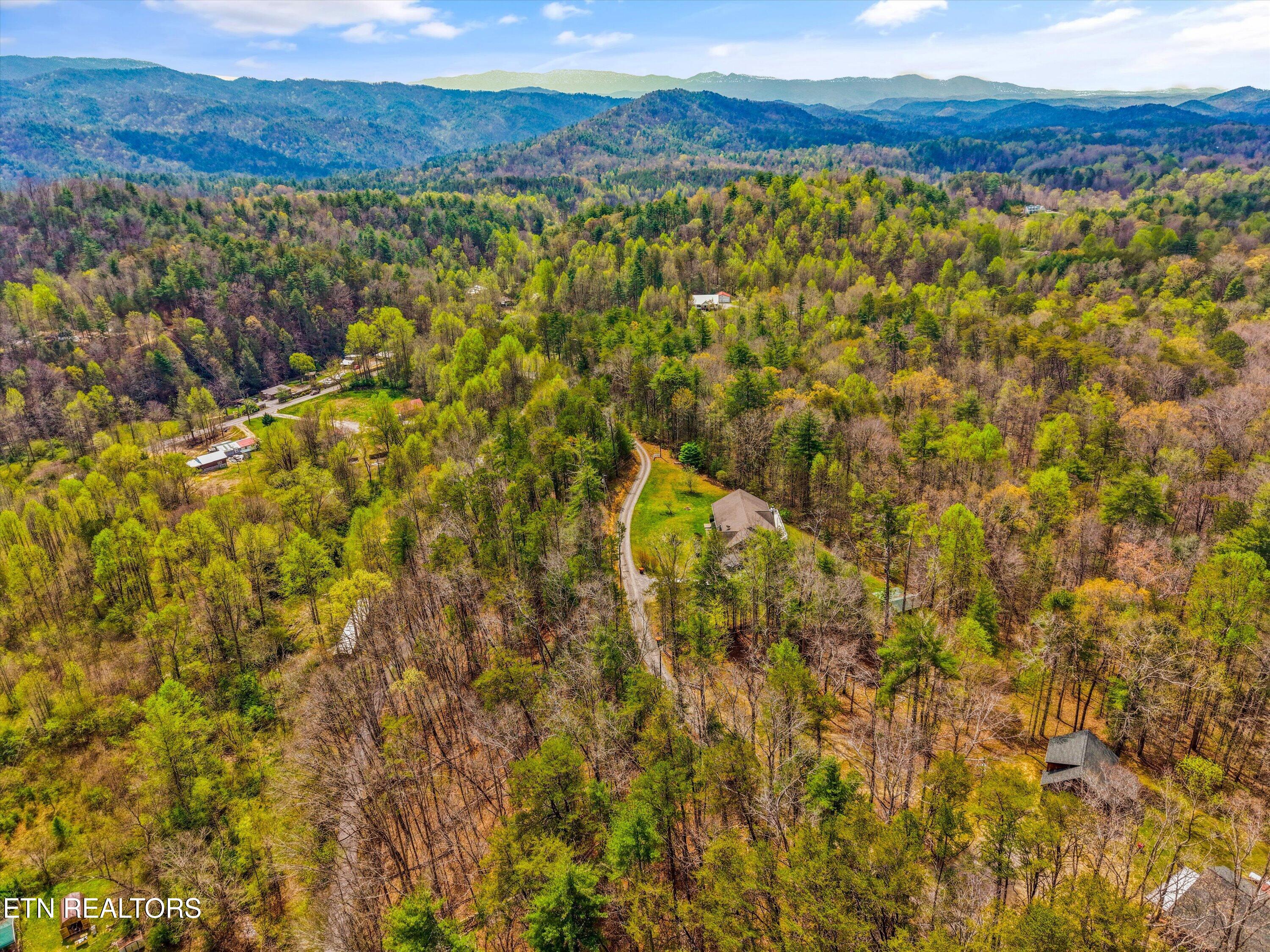 117 Cooper Road Tallassee, TN 37878 - Photo 42 of 51 Aerial