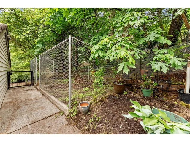 a view of a backyard