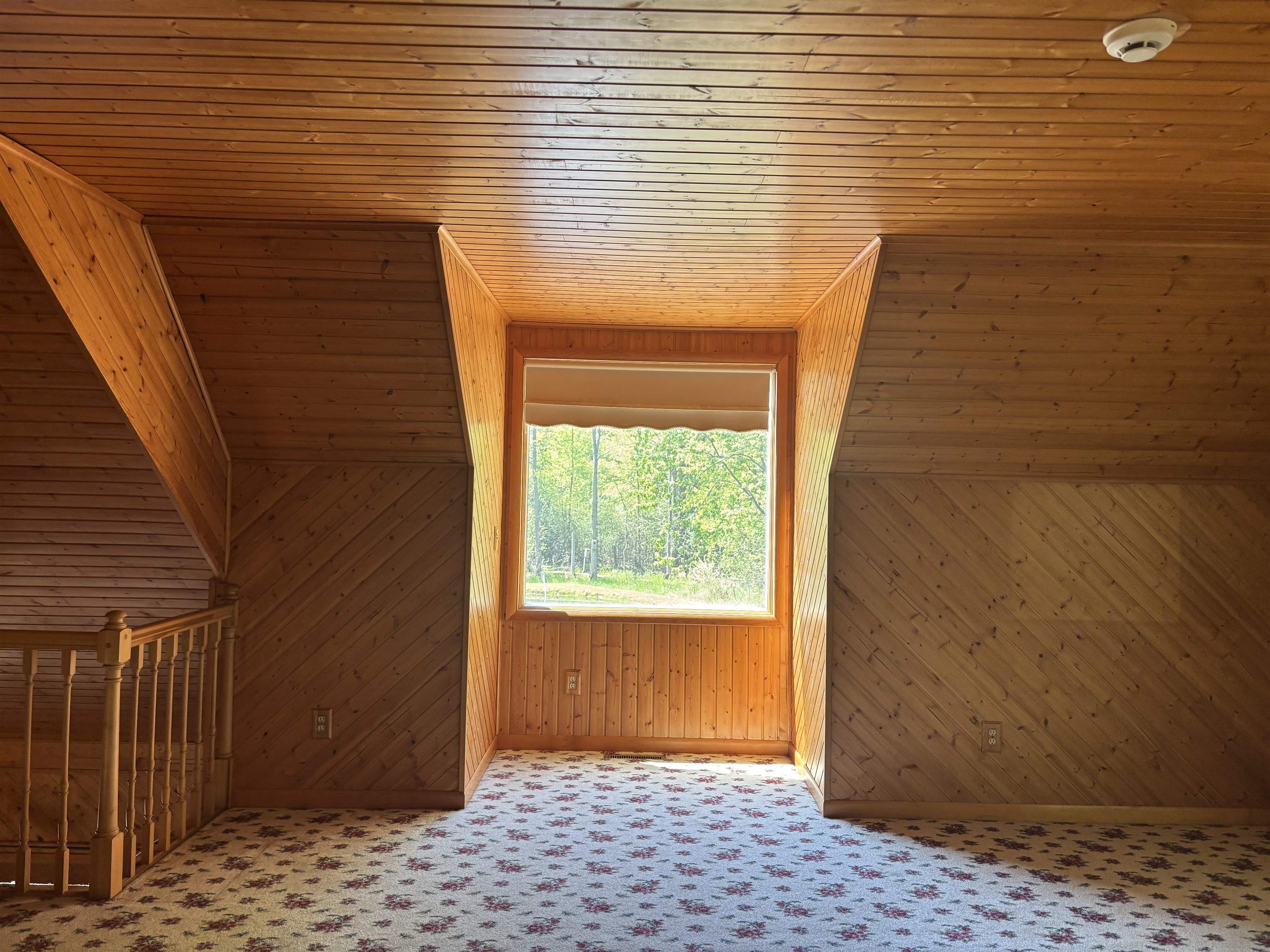 6364 Townline Road Birch Run, MI 48415 - Photo 13 of 20