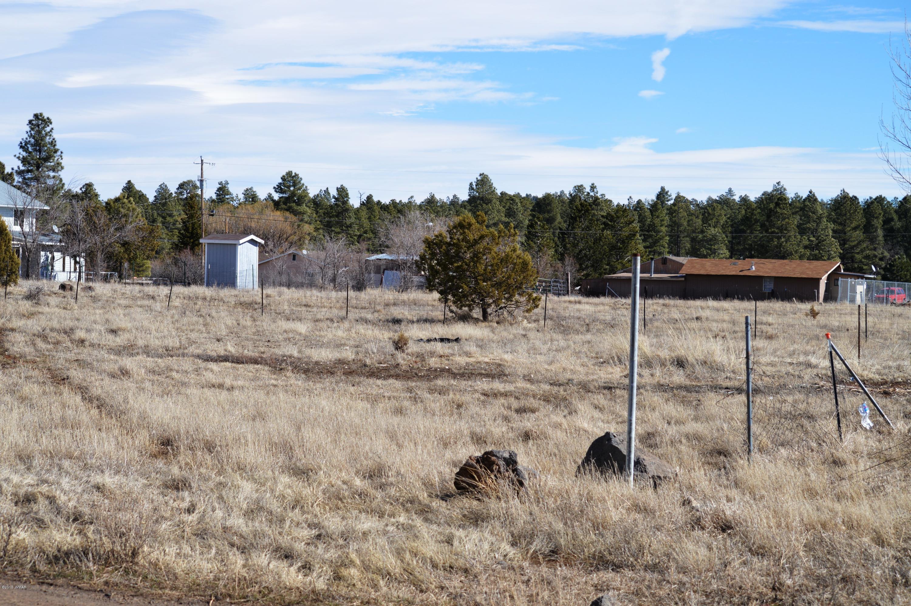 2702 Parkinson Road Lakeside, AZ 85929 - Photo 1 of 6