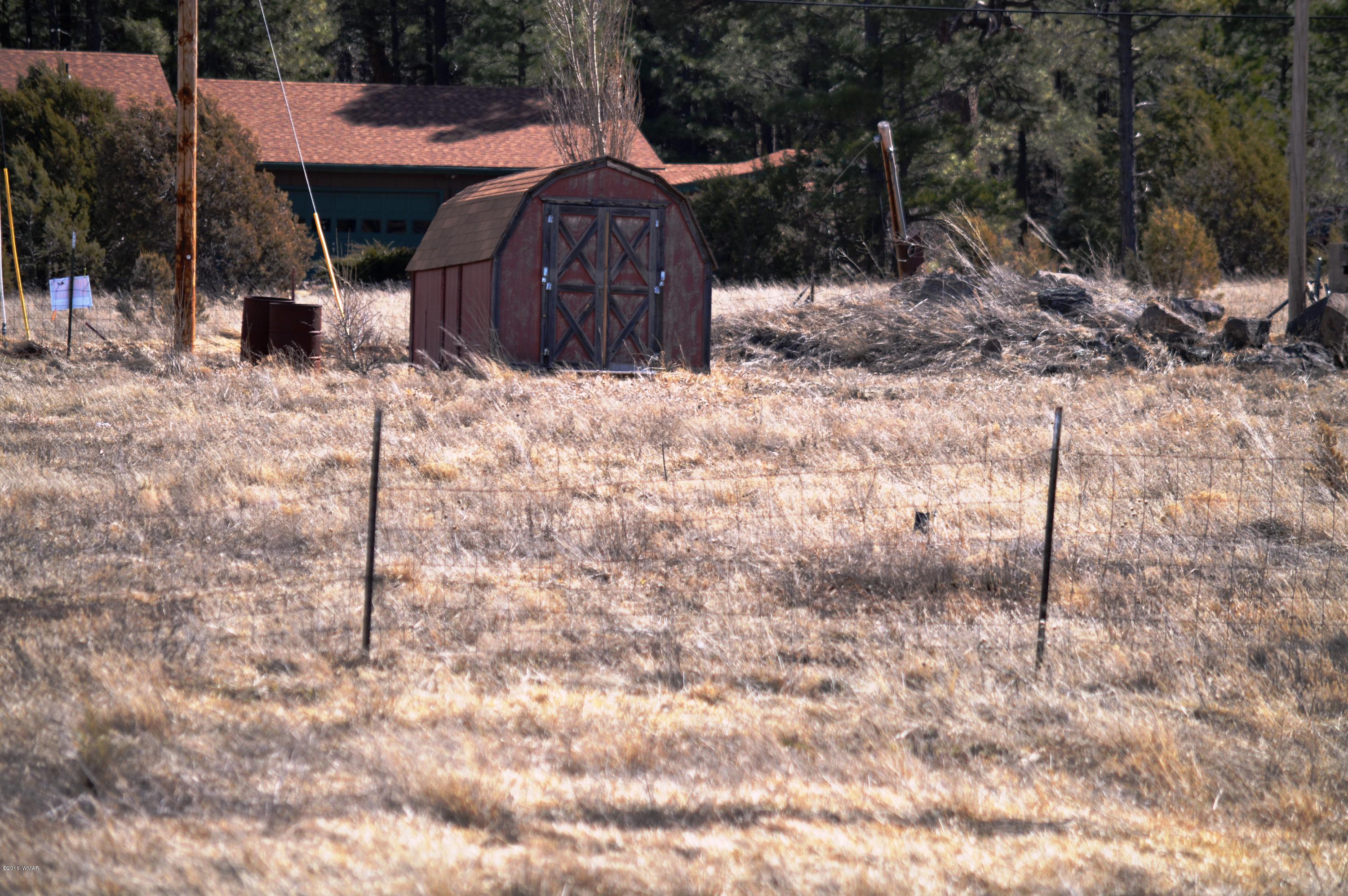 2702 Parkinson Road Lakeside, AZ 85929 - Photo 2 of 6