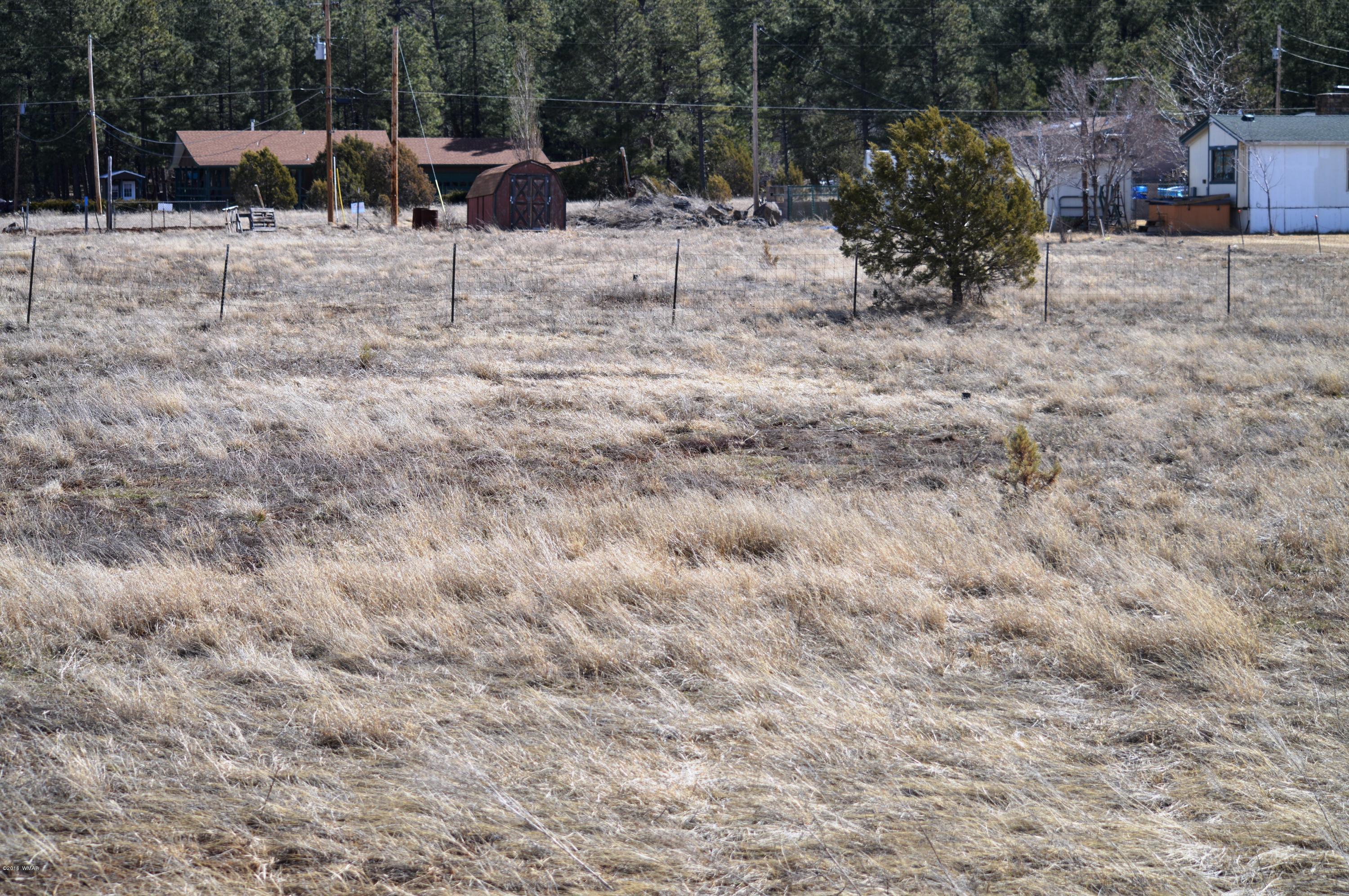 2702 Parkinson Road Lakeside, AZ 85929 - Photo 3 of 6