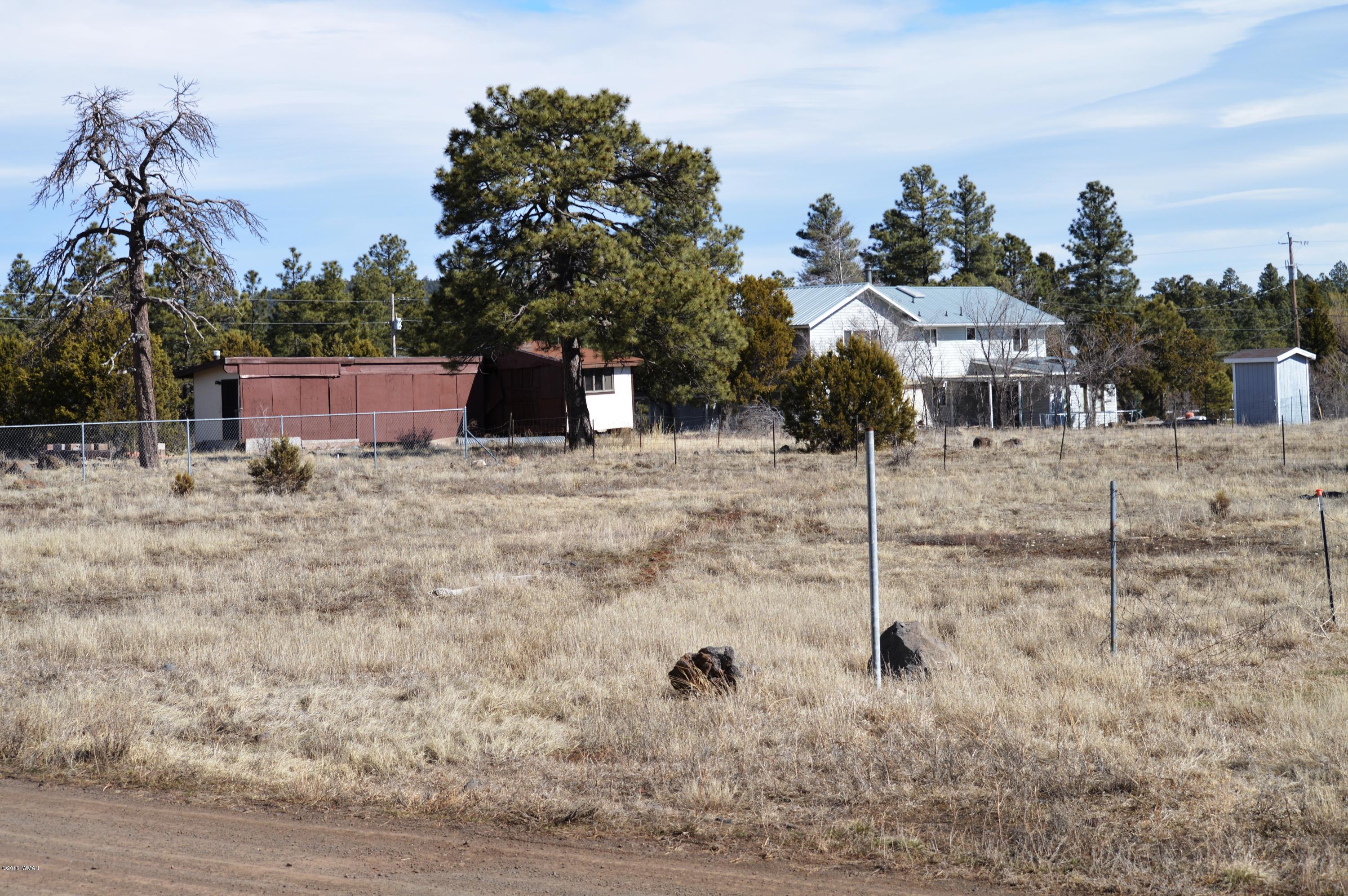 2702 Parkinson Road Lakeside, AZ 85929 - Photo 4 of 6