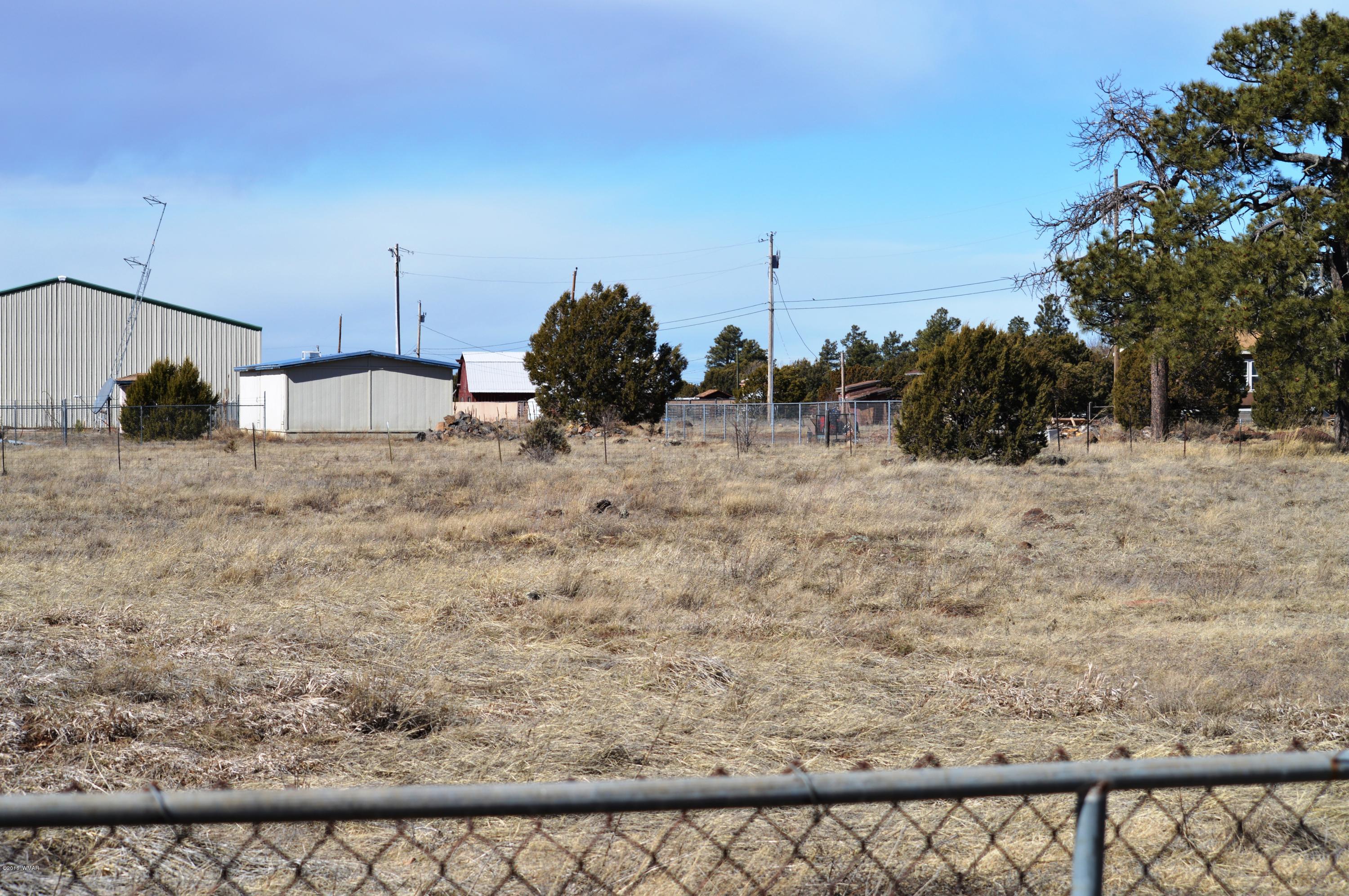 2702 Parkinson Road Lakeside, AZ 85929 - Photo 5 of 6
