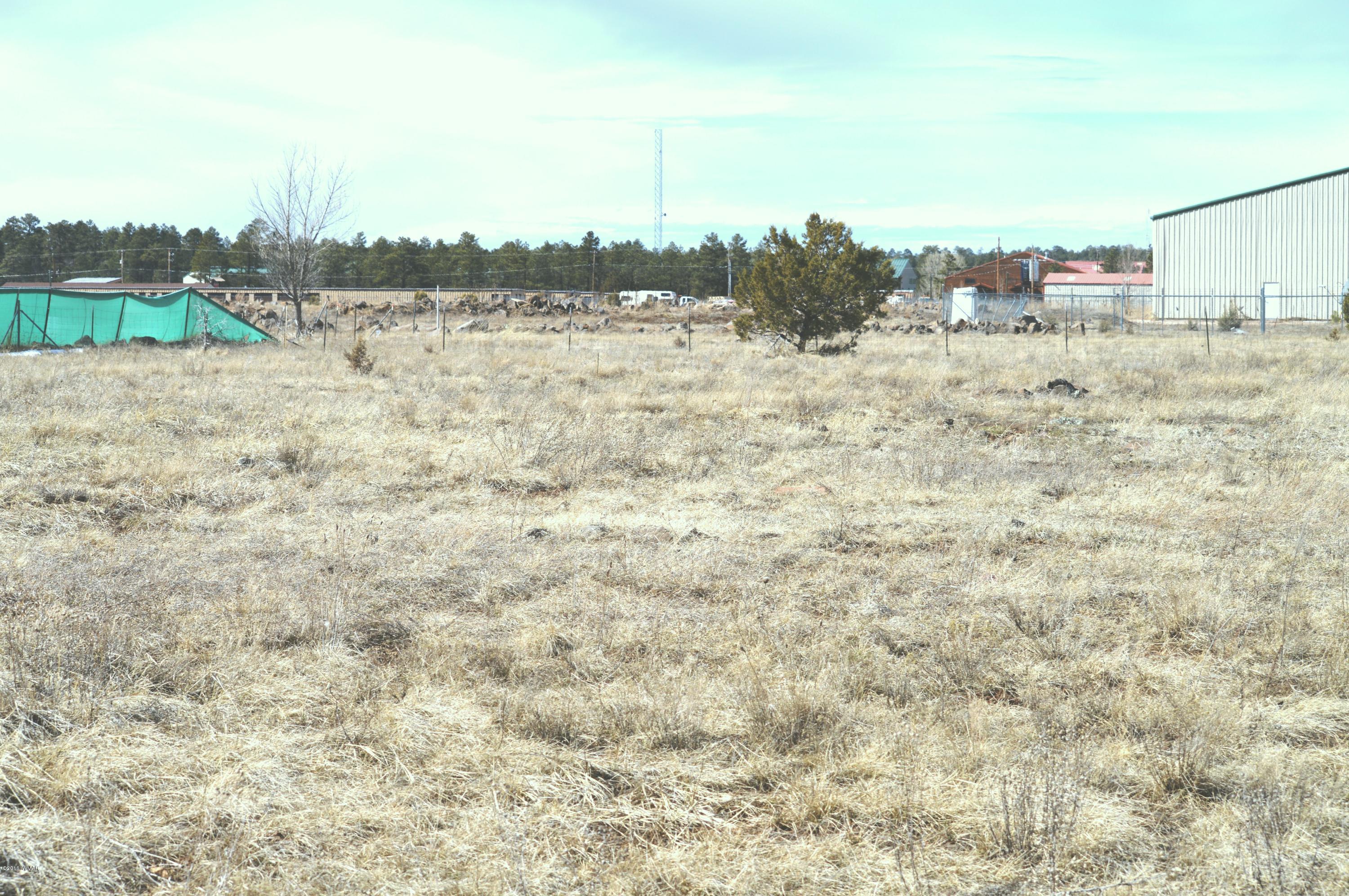 2702 Parkinson Road Lakeside, AZ 85929 - Photo 6 of 6