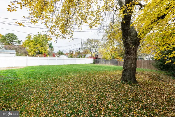 a view of yard with tree s
