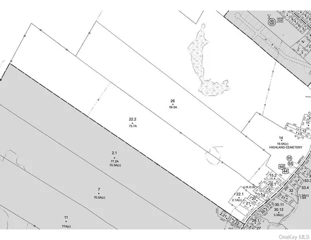 a view of a lush green forest with lots of trees