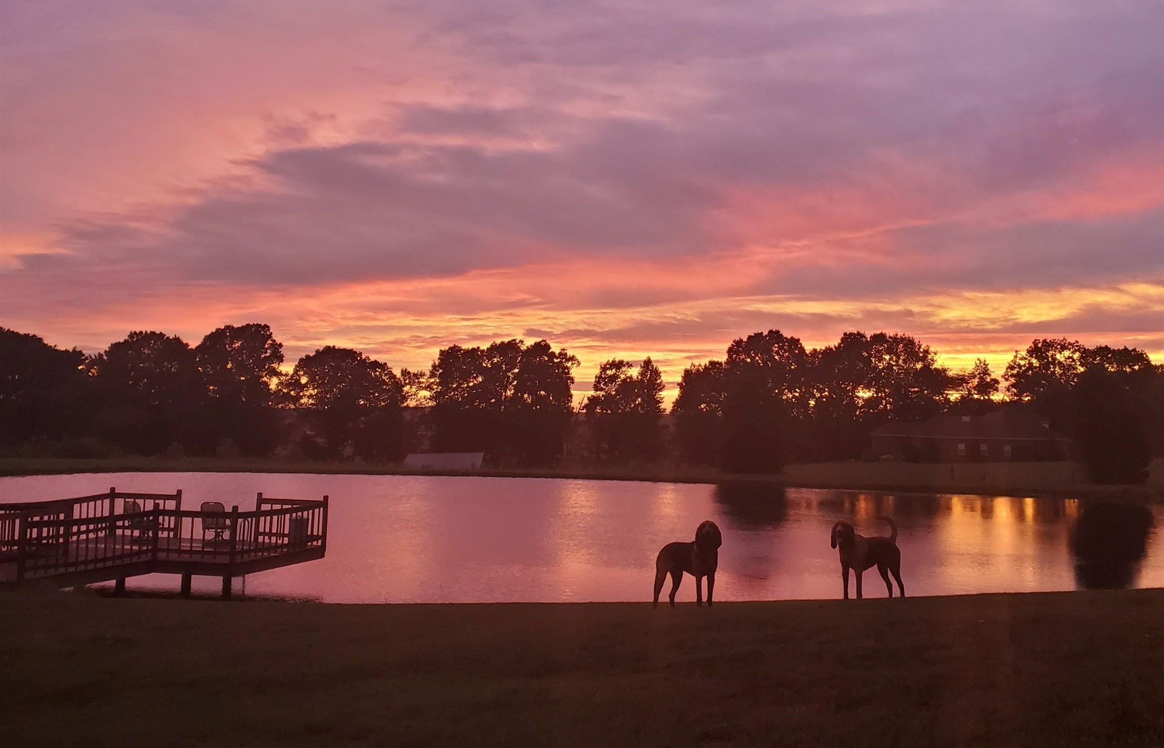 8169 Miller Road Atoka, TN 38004 - Photo 8 of 40 a view of a lake with sunset