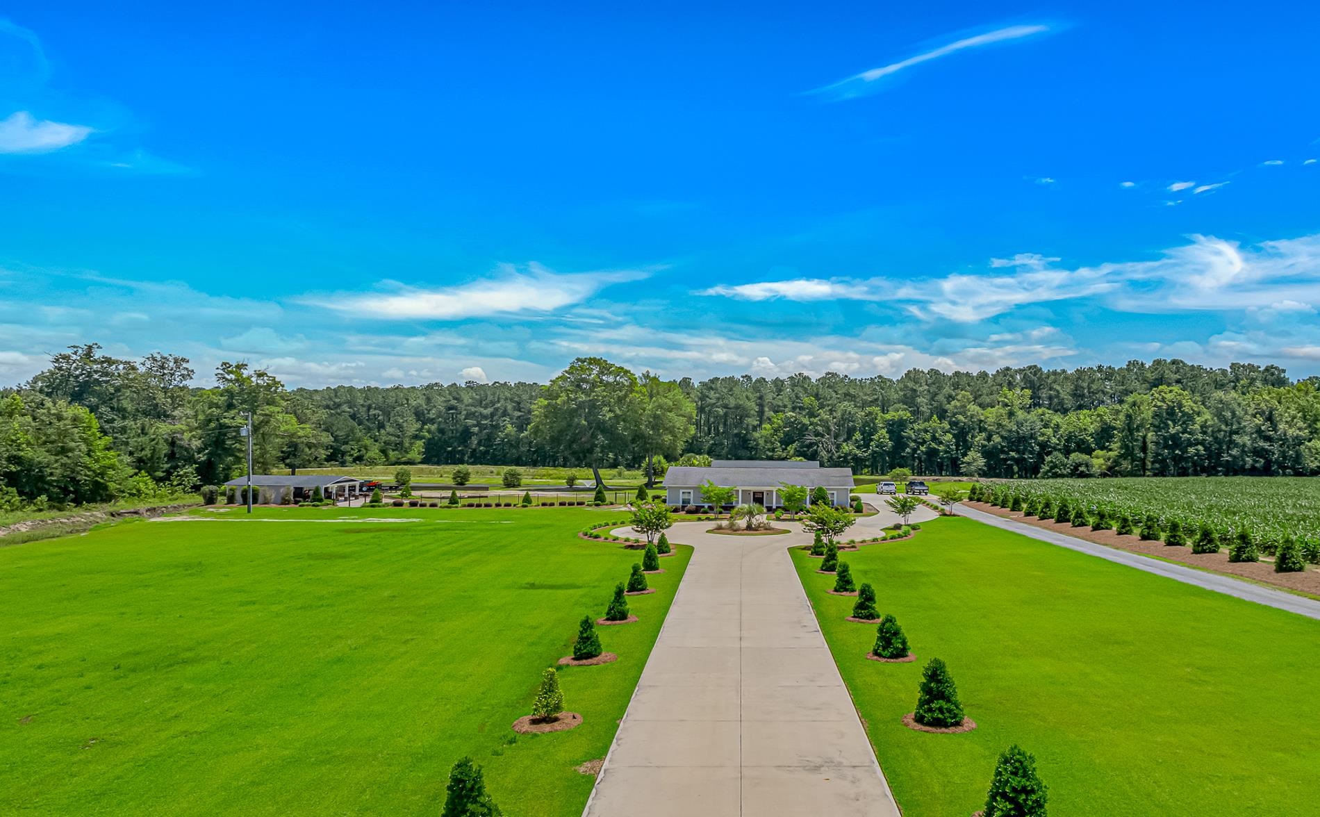 15810 County Line Road Andrews, SC 29510 - Photo 6 of 35