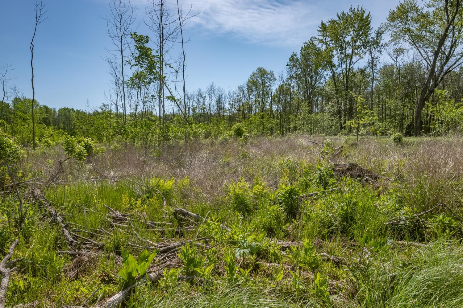 Chicago Road Redgranite, WI 54970 - Photo 19 of 37