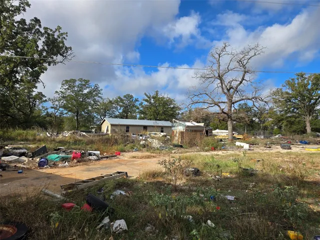 a view of yard with tree in it
