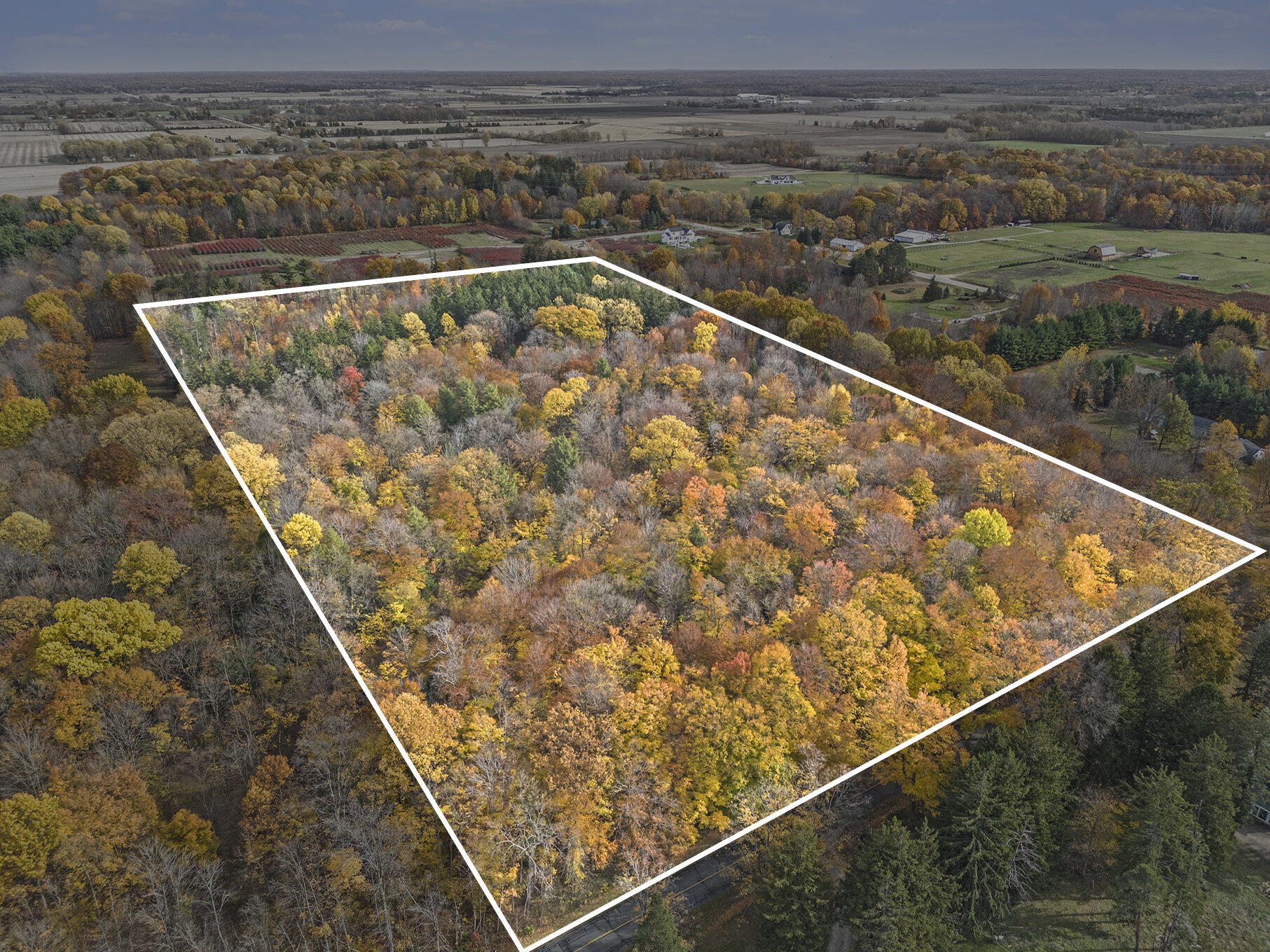 1816 66th Street Fennville, MI 49408 - Photo 3 of 8 009_photo_nov_06_2025_2_03_05_pm_436