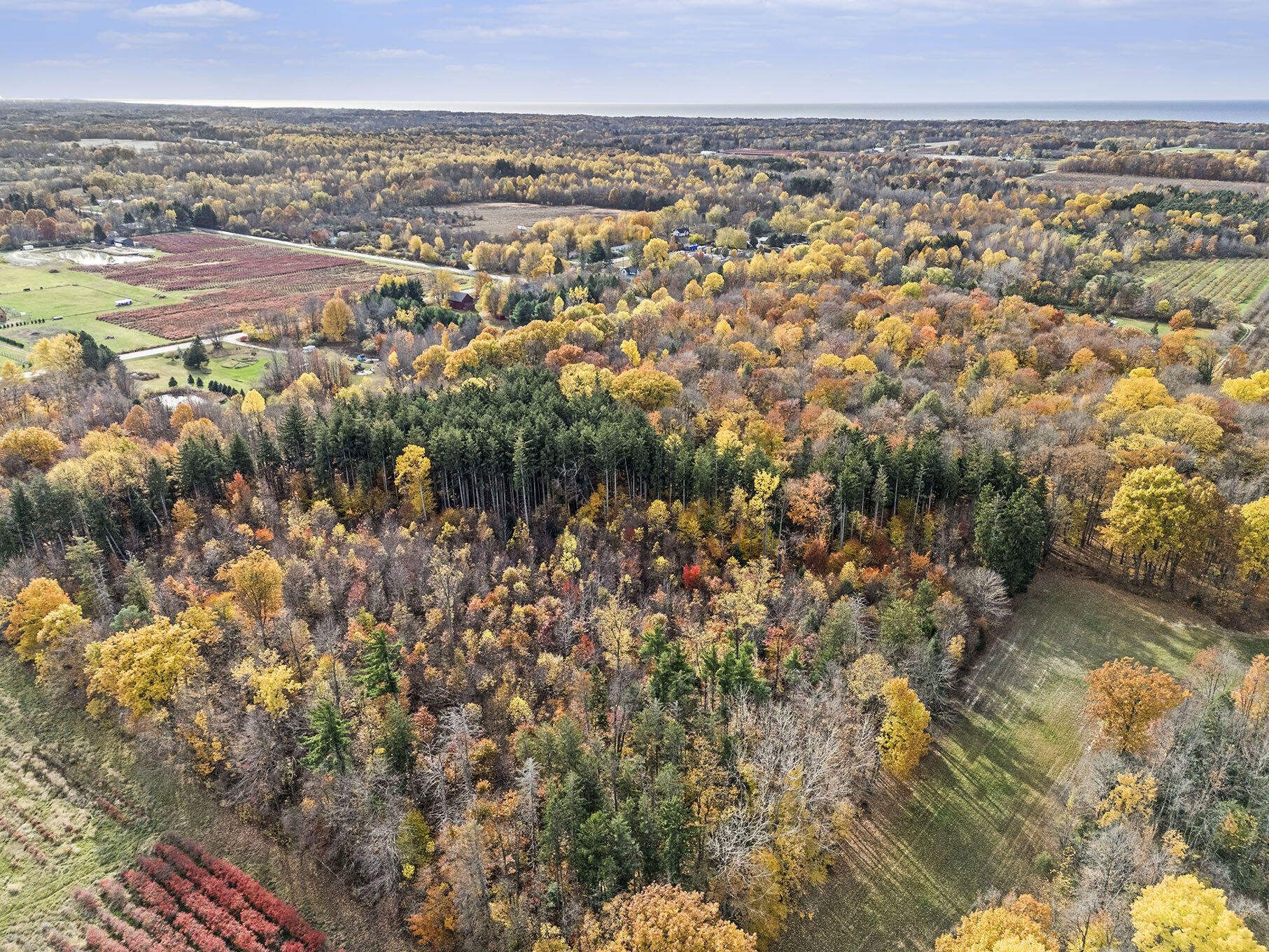 1816 66th Street Fennville, MI 49408 - Photo 8 of 8 001_file_955